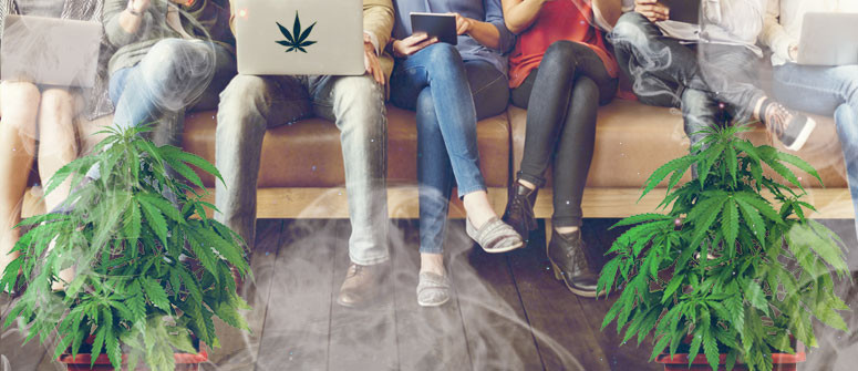 What are cannabis social clubs and how do they operate?