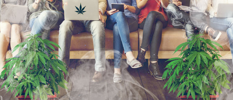 What are cannabis social clubs and how do they operate? What are cannabis social clubs and how do they operate?