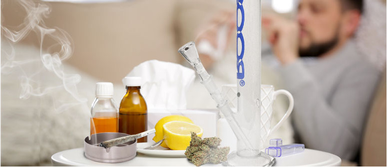 Fumar hierba cuando estás resfriado, ¿es una buena idea? Fumar hierba cuando estás resfriado, ¿es una buena idea?