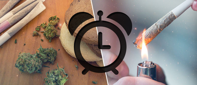 How long does the effect of a cannabis high last? How long does the effect of a cannabis high last?