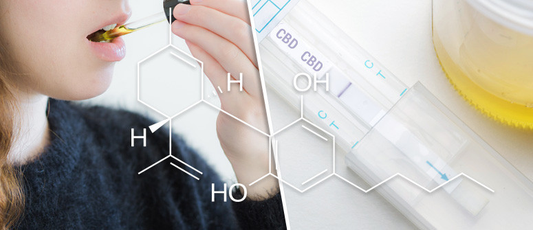 ¿Puede el CBD dar positivo en una prueba de detección de drogas?