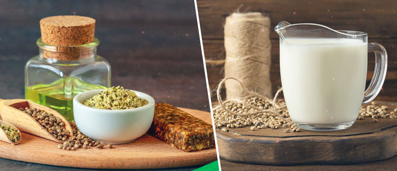 Healthy! Nutritional value of hemp seeds