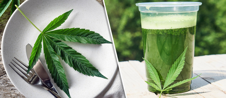 The benefits of adding raw cannabis to your diet