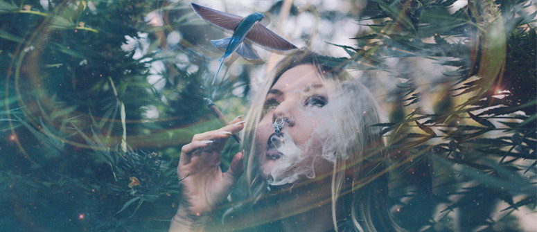 Does cannabis cause hallucinations? Does cannabis cause hallucinations?