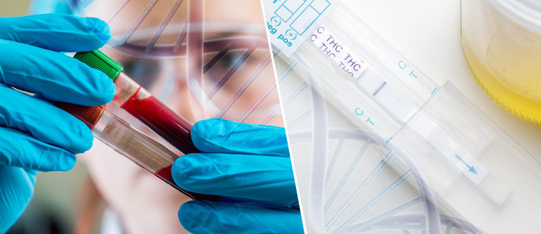 How to pass a marijuana drug test