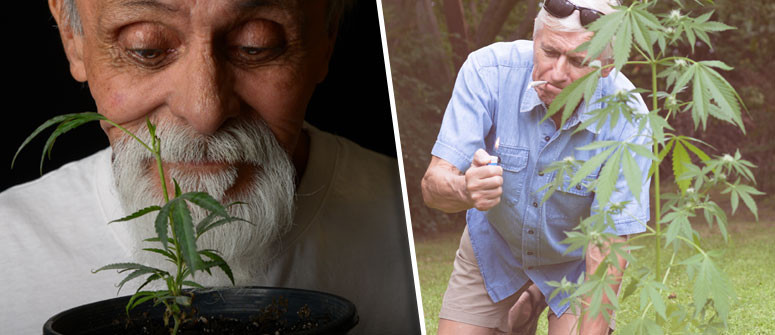 4 formas en que el cannabis ayuda a combatir el envejecimiento