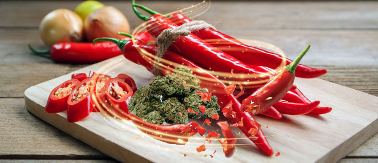 Combining hot chili peppers and cannabis might help an upset stomach