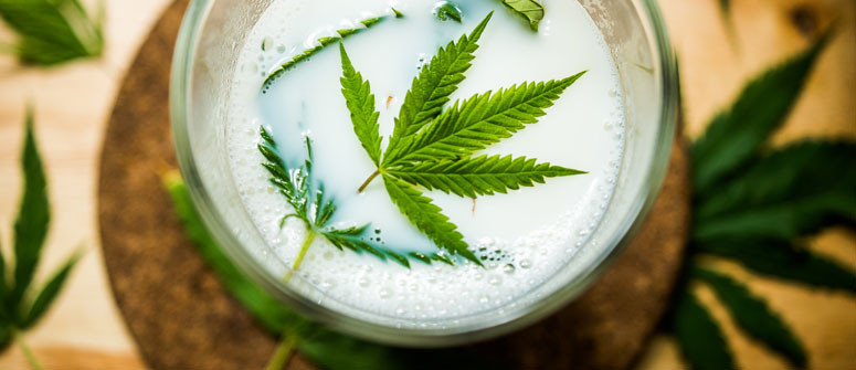 Cómo preparar leche con marihuana