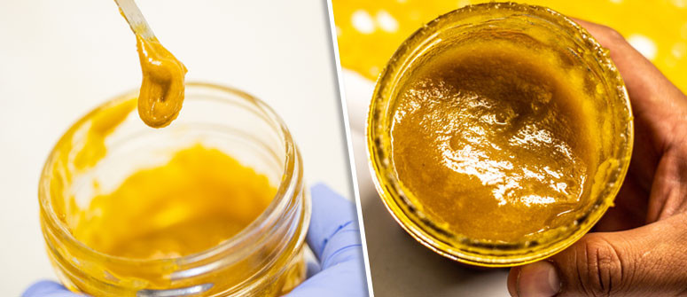 Budder : tout ce qu'il faut savoir