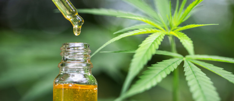 How long does it take to absorb cbd and how long does it last?