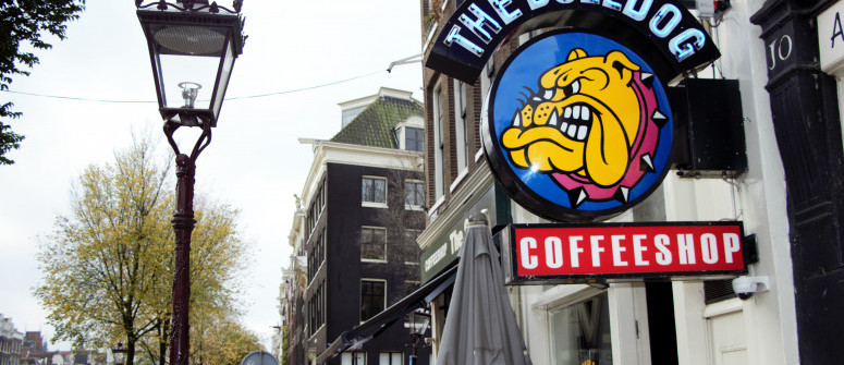 5 caractéristiques que tout bon coffeeshop devrait avoir 5 caractéristiques que tout bon coffeeshop devrait avoir