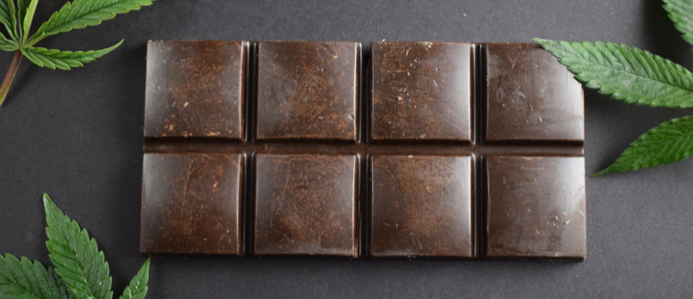 Top 10 chocolate cannabis strains Top 10 chocolate cannabis strains