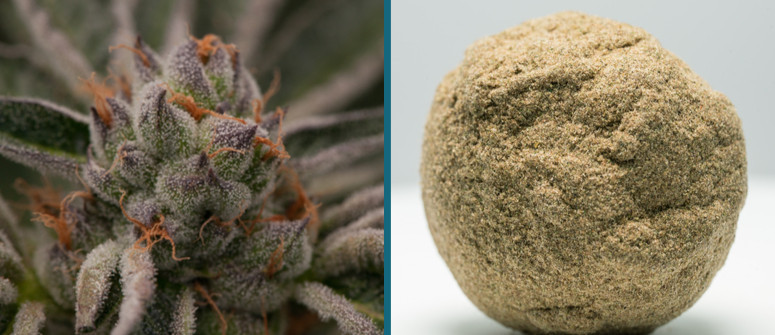 What is bubble hash? How do you make it?