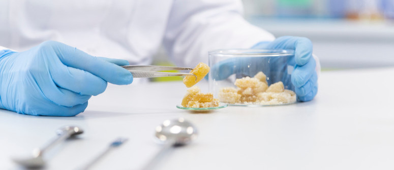 Qu'est-ce que le CBDA : Tout Ce Qu'il Faut Savoir Qu'est-ce que le CBDA : Tout Ce Qu'il Faut Savoir