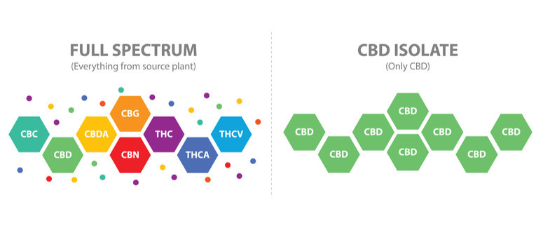 Huile de CBD à spectre complet et isolat de CBD : quelle différence ?