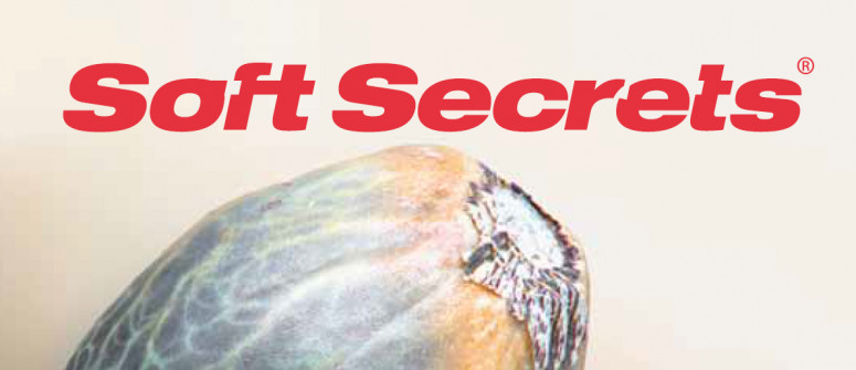 Website review: Soft Secrets