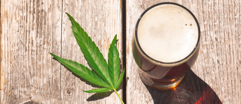 Can CBD oil help cure a hangover?