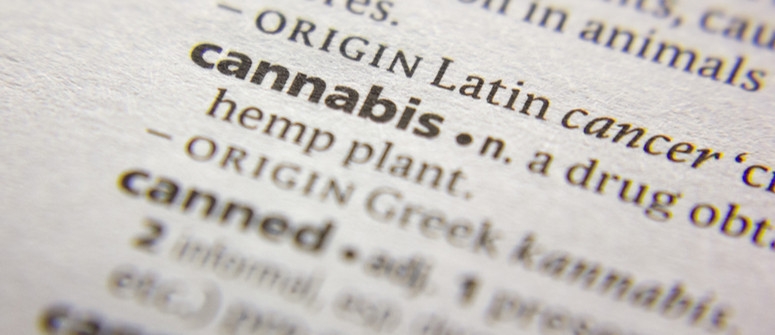 Cannabis terminology: all the common terms