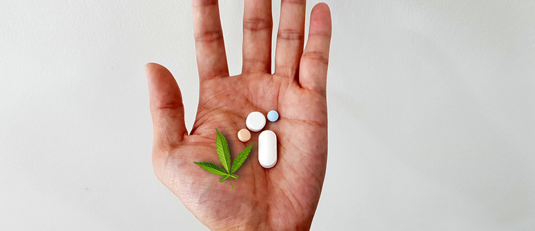 Can CBD help with antibiotic resistance?