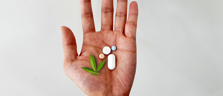 Can CBD help with antibiotic resistance? Can CBD help with antibiotic resistance?