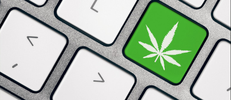 ABC de l'argot populaire du cannabis ABC de l'argot populaire du cannabis