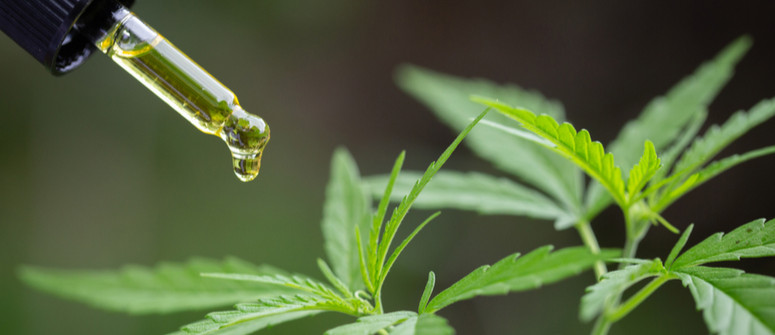 CBD and CBG oil: What's the difference?