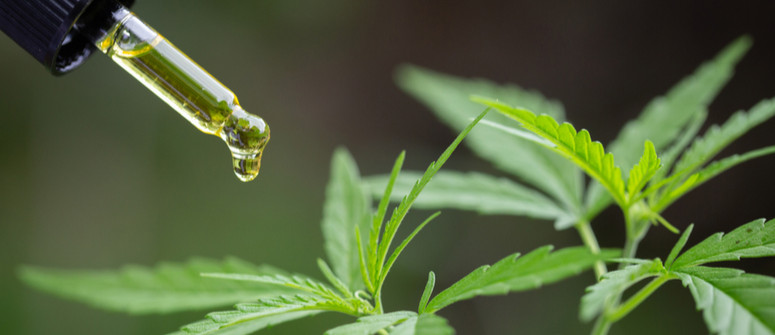 CBD and CBG oil: What's the difference? CBD and CBG oil: What's the difference?