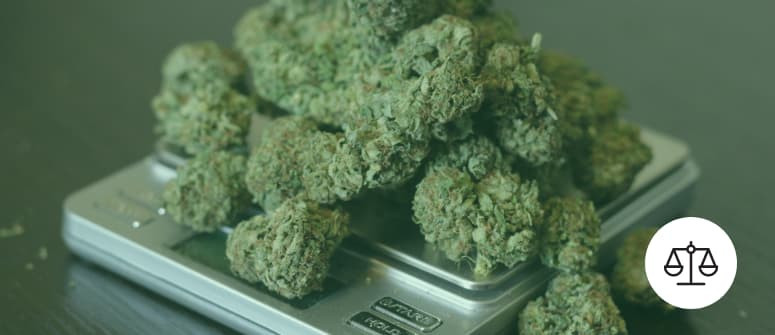 Guía para medir la marihuana: cantidades y pesos Guía para medir la marihuana: cantidades y pesos
