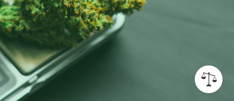 4 Façons De Mesurer Du Cannabis Sans Balance - Zamnesia Blog