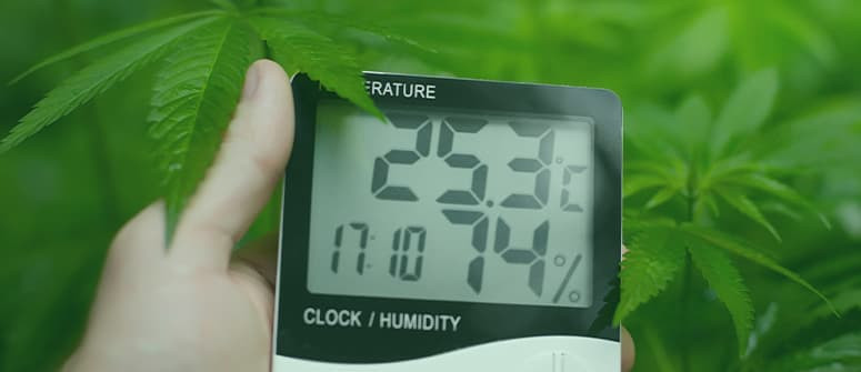 Prime Grower Hydroponics Digital Indoor Thermometer Humidity Monitor G