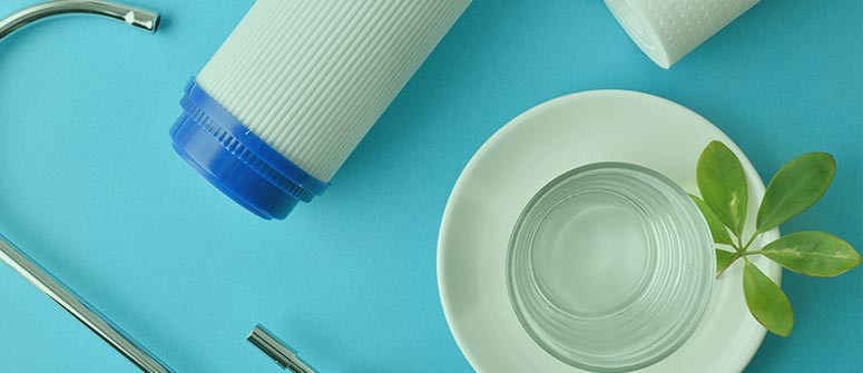 What is osmosis and why is it important for cannabis plants? What is osmosis and why is it important for cannabis plants?