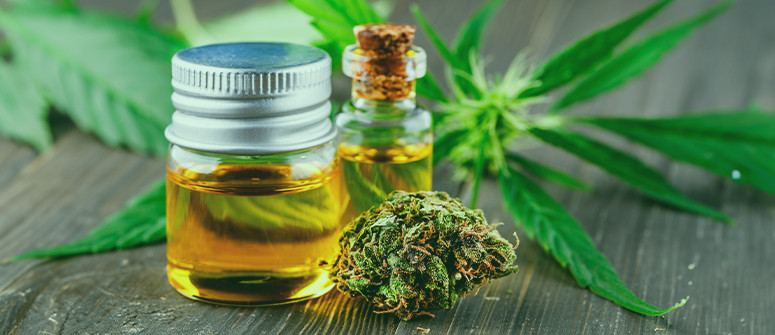 Le CBD est-il légal en France ? Le CBD est-il légal en France ?