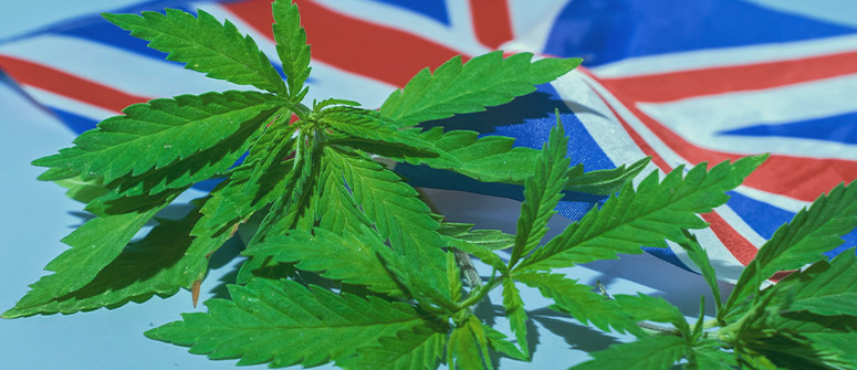 Is CBD legal in the UK?