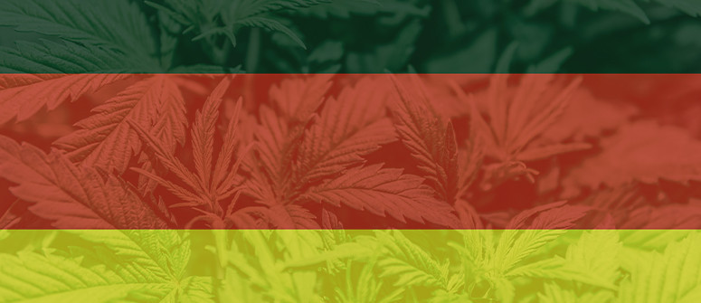 Le CBD est-il légal en Allemagne ? Le CBD est-il légal en Allemagne ?