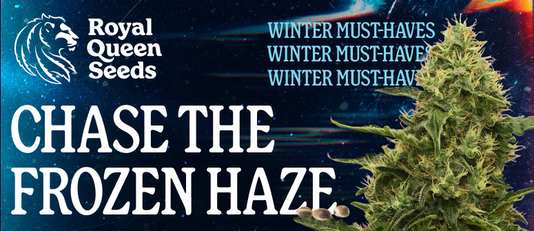 RQS Winter Essentials