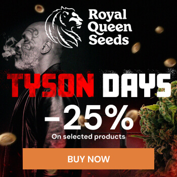 Royal Queen Seeds