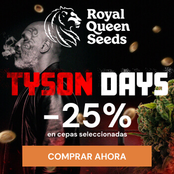 Royal Queen Seeds