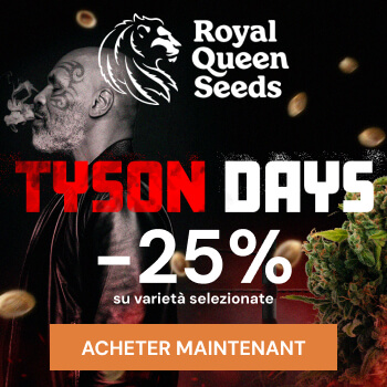 Royal Queen Seeds