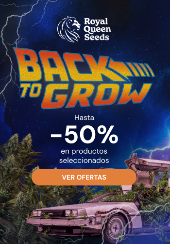 Royal Queen Seeds
