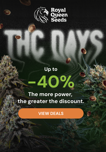 Royal Queen Seeds
