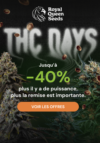 Royal Queen Seeds