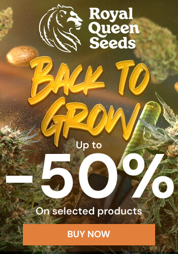 Royal Queen Seeds