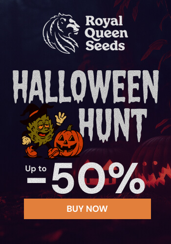 Royal Queen Seeds