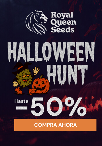 Royal Queen Seeds