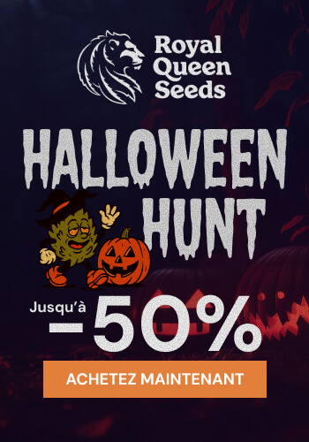 Royal Queen Seeds