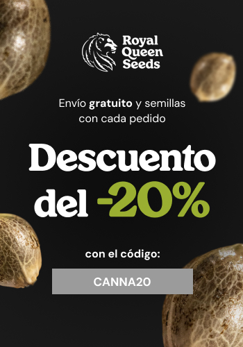 Royal Queen Seeds