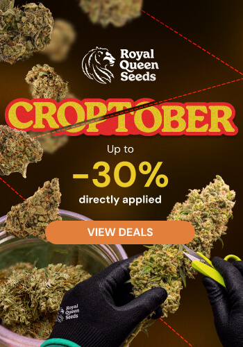 Royal Queen Seeds