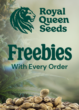 Royal Queen Seeds