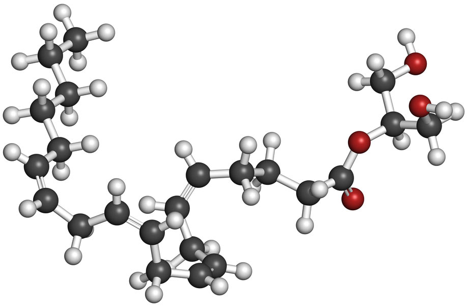 Exercise activates the endocannabinoid system