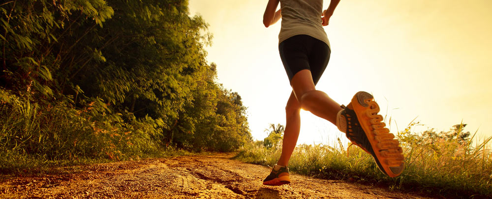 Bewegung kann tatsächlich thc zurück in den blutkreislauf freisetzen